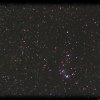 NGC2264 - Weihnachtsbaum-haufen