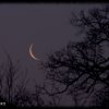 Mond und Venus am 21.03.2011